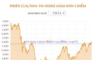 Phiên 17/6/2024: VN-Index giảm hơn 5 điểm