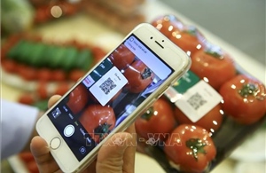 Nâng cao công tác quản lý chất lượng sản phẩm, hàng hóa