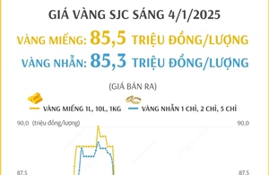 Giá vàng SJC sáng 4/1/2025: Vàng miếng 85,5 và vàng nhẫn 85,3 triệu đồng/lượng