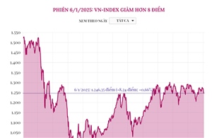 Phiên 6/1/2025: VN-Index giảm hơn 8 điểm