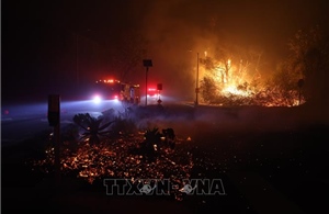 Mỹ: Số người thiệt mạng do cháy rừng ở Los Angeles tăng