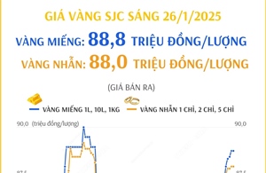 Vàng miếng 88,8 triệu đồng/lượng, vàng nhẫn 80 triệu đồng/lượng