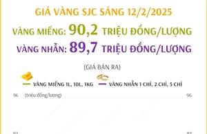 Giá vàng SJC sáng 12/2/2025 giảm mạnh, về khoảng 90 triệu đồng/lượng