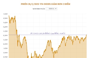 Phiên 28/2/2025: VN-Index giảm hơn 2 điểm