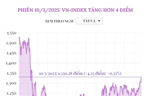 Phiên 10/3/2025: VN-Index tăng hơn 4 điểm