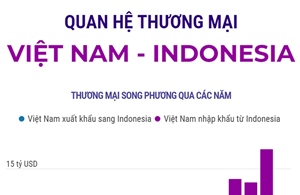 Quan hệ thương mại Việt Nam - Indonesia