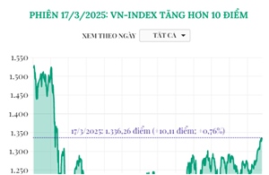 Phiên 17/3/2025: VN-Index tăng hơn 10 điểm