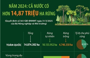Năm 2024: Cả nước có hơn 14,87 triệu ha rừng