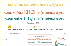 Sáng 3/5/2025: Giá vàng SJC ổn định, vàng miếng ở mức 121,3 triệu đồng/lượng