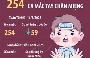 Hà Nội: 254 ca mắc tay chân miệng (từ 9/5 - 16/5/2025)