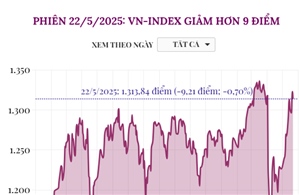 Phiên 22/5/2025: VN-Index giảm hơn 9 điểm