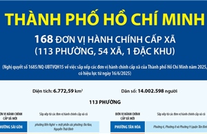 Thông tin chi tiết về 113 phường của Thành phố Hồ Chí Minh