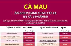 Thông tin chi tiết sắp xếp các đơn vị hành chính cấp xã của tỉnh Cà Mau