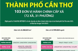 Thông tin chi tiết sắp xếp các đơn vị hành chính cấp xã của thành phố Cần Thơ