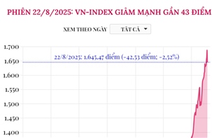 Phiên 22/8/2025: VN-Index giảm mạnh gần 43 điểm