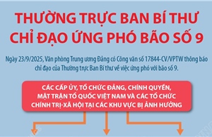 Thường trực Ban Bí thư chỉ đạo ứng phó bão số 9