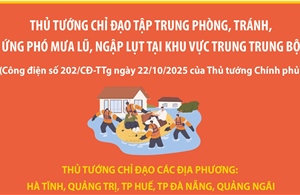 Tập trung phòng, tránh, ứng phó mưa lũ, ngập lụt tại khu vực Trung Trung Bộ