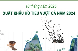 10 tháng/2025: Xuất khẩu hồ tiêu vượt cả năm 2024