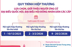 Quy trình hiệp thương lựa chọn, giới thiệu người ứng cử đại biểu Quốc hội, đại biểu Hội đồng nhân dân các cấp