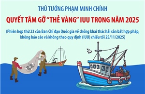 Thủ tướng Phạm Minh Chính: Quyết tâm gỡ &#39;thẻ vàng&#39; IUU trong năm 2025
