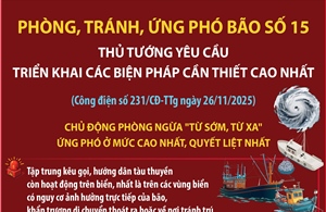 Triển khai các biện pháp cần thiết cao nhất để phòng, tránh, ứng phó bão số 15
