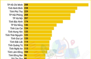 Kết quả Kỳ thi chọn học sinh giỏi quốc gia năm học 2025-2026