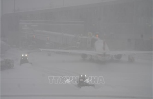 Mỹ: Bão gây tê liệt giao thông đường bộ và hàng không