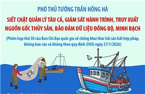 Phiên họp thứ 30 của Ban Chỉ đạo Quốc gia về chống khai thác hải sản bất hợp pháp