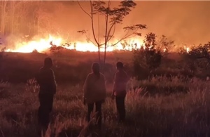 Thái Lan nỗ lực ứng phó với cháy rừng lan rộng