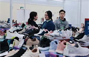 Những bài học kinh nghiệm từ Ai Cập và triển vọng hợp tác