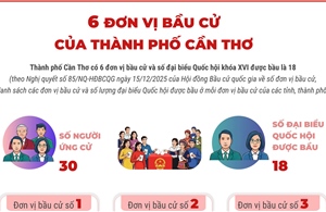 6 đơn vị bầu cử của thành phố Cần Thơ