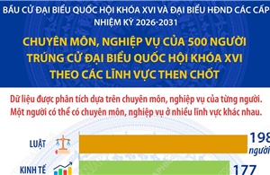 Chuyên môn của 500 người trúng cử đại biểu Quốc hội theo các lĩnh vực then chốt