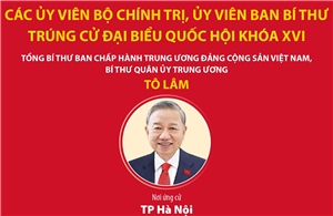 Các Ủy viên Bộ Chính trị, Ủy viên Ban Bí thư trúng cử đại biểu Quốc hội khóa XVI
