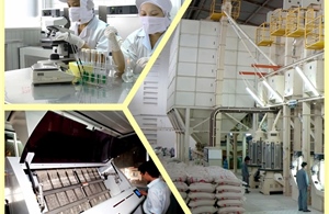 Từ xuất khẩu truyền thống đến cuộc chơi giá trị cao của Afiex