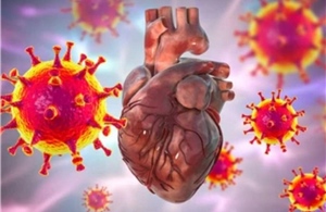 Cảnh báo virus cảm cúm thông thường cũng có thể gây viêm cơ tim nguy hiểm