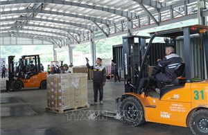 Tìm lời giải cho bài toán nhân lực logistics tại cửa khẩu