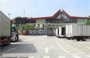 Trên 8.700 phương tiện thông quan qua các cửa khẩu Lạng Sơn dịp nghỉ lễ 2/9