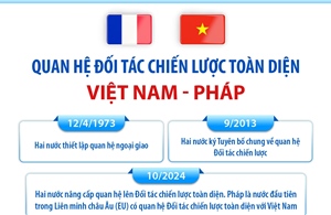 Quan hệ Đối tác chiến lược toàn diện Việt Nam - Pháp