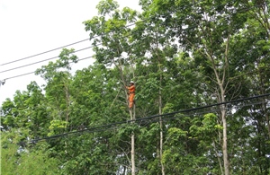 PC Quảng Ngãi: Khẩn trương chuẩn bị ứng phó với bão số 13 Kalmaegi