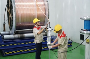 Doanh nghiệp chuyển đổi xanh, chuyển đổi số hướng tới người tiêu dùng