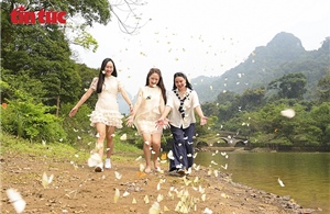 Mùa bướm rực rỡ ở Cúc Phương hút khách trải nghiệm thiên nhiên nguyên sơ