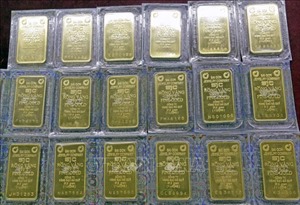 Giá vàng tăng vọt lên gần 86 triệu đồng/lượng sau khi phiên đấu thầu vàng tiếp tục bị huỷ