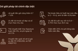 Gia tăng lợi nhuận đầu tư, nhân đôi đặc quyền cùng VIB Privilege Banking