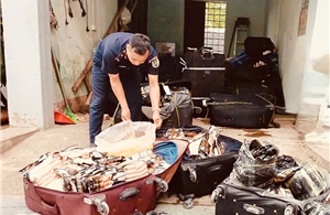  Hải quan ngăn chặn hơn 1,8 tấn xúc xích, chân gà và thịt xiên ‘bẩn’ 