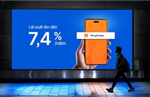 Cách giúp dòng tiền vận hành hiệu quả với Bộ đôi Sinh lời và iDepo VIB