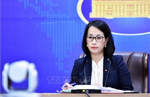 Việt Nam kiên quyết phản đối, yêu cầu Đài Loan (Trung Quốc) hủy bỏ hoạt động trái phép tại Ba Bình