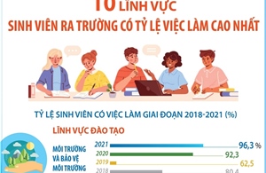 10 lĩnh vực sinh viên ra trường có tỷ lệ việc làm cao nhất