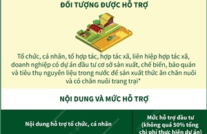 3 chính sách hỗ trợ phát triển chăn nuôi từ ngày 20/9/2024