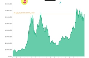 Giá Bitcoin đạt mức trên 64.000 USD/BTC