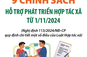 9 chính sách hỗ trợ phát triển hợp tác xã từ 1/11